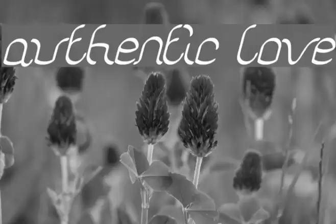 authentic love Font examples