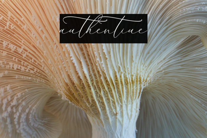 authentiue Example 1