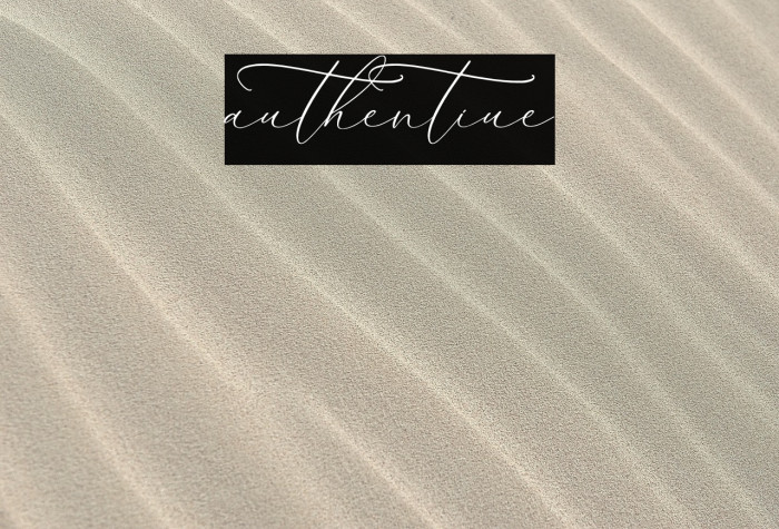 authentiue Example 3