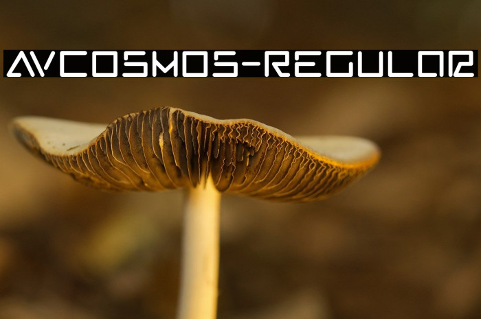 AVCosmos-Regular Example 1