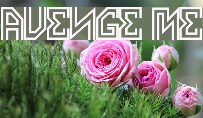 AVENGE ME Font examples
