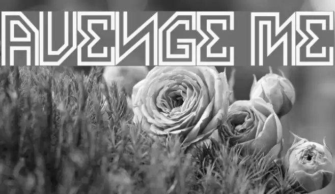 AVENGE ME Fuentes examples