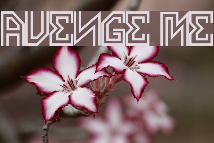 AVENGE ME Font examples