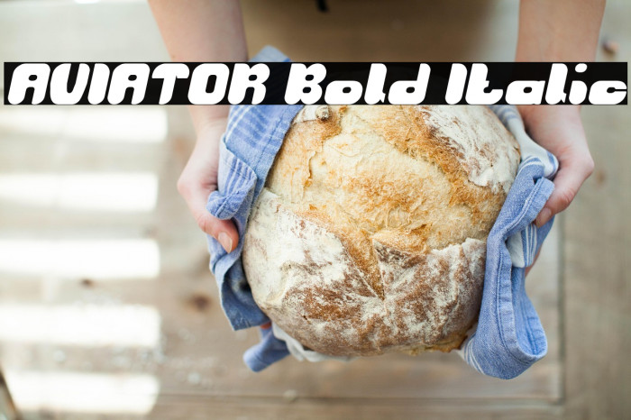AVIATOR Bold Italic Example 1
