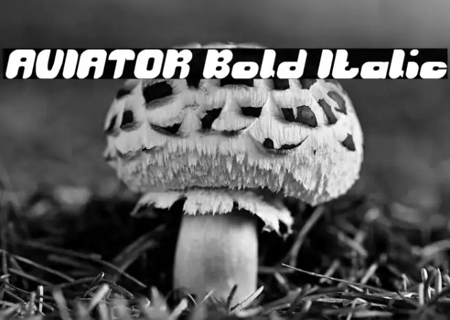 AVIATOR Bold Italic Example 3