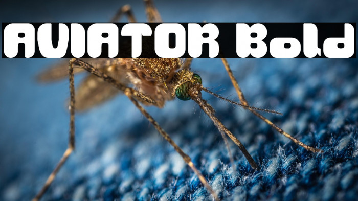 AVIATOR Bold Example 1