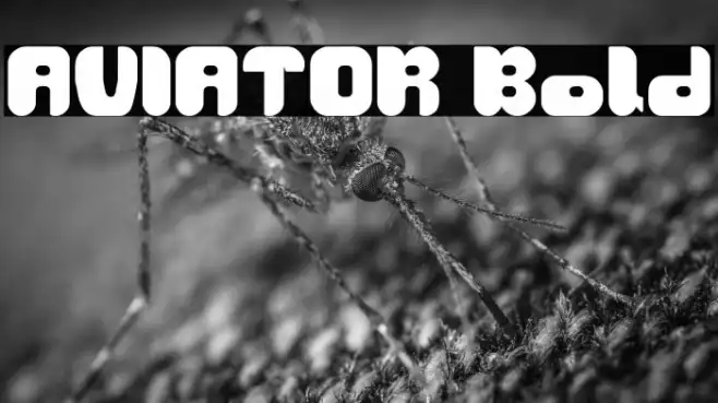 AVIATOR Bold Example 1