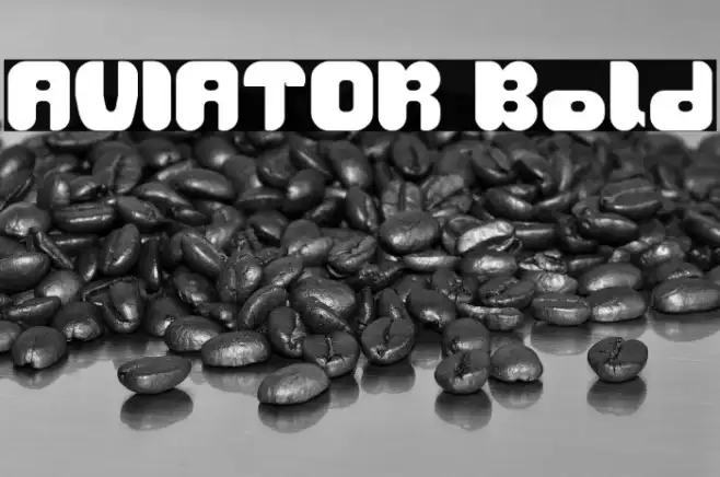 AVIATOR Bold Example 3
