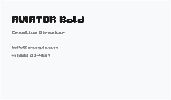 AVIATOR Bold Business Card