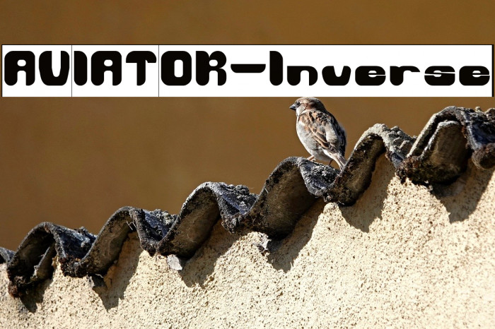 AVIATOR-Inverse Example 1