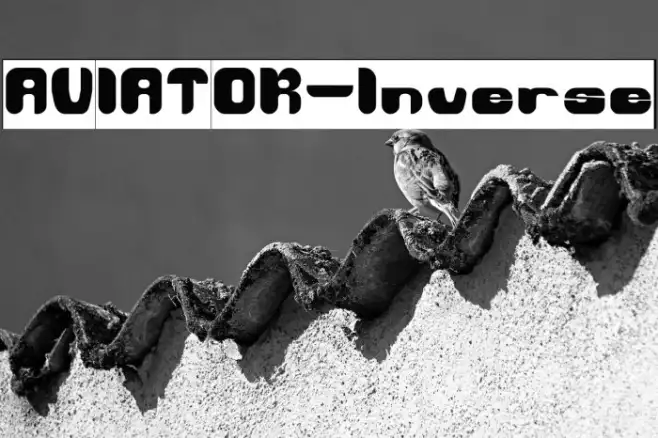 AVIATOR-Inverse Example 1