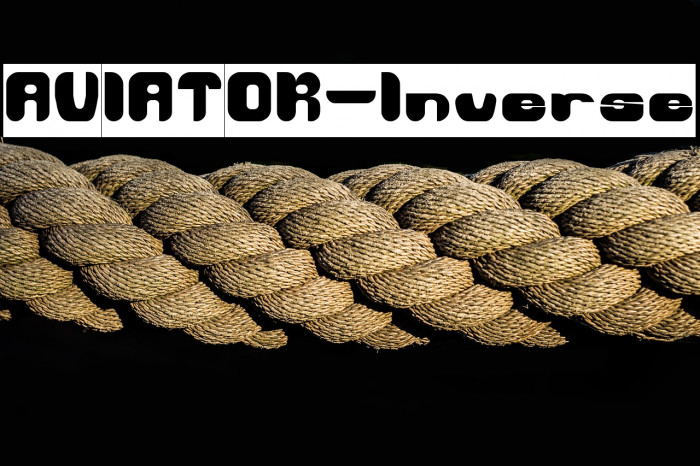 AVIATOR-Inverse Example 2