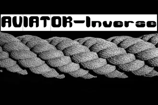AVIATOR-Inverse Example 2