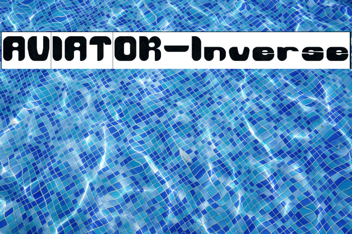 AVIATOR-Inverse Example 3