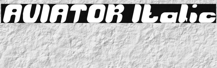 AVIATOR Italic Example 1