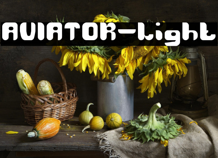 AVIATOR-Light Example 3