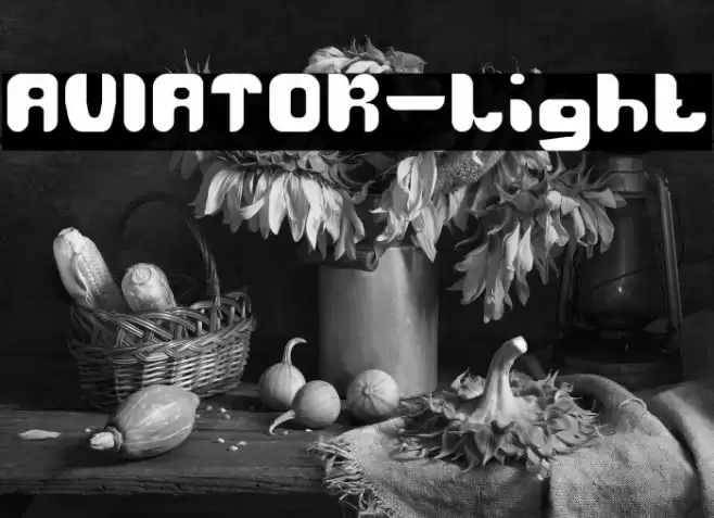 AVIATOR-Light Font examples