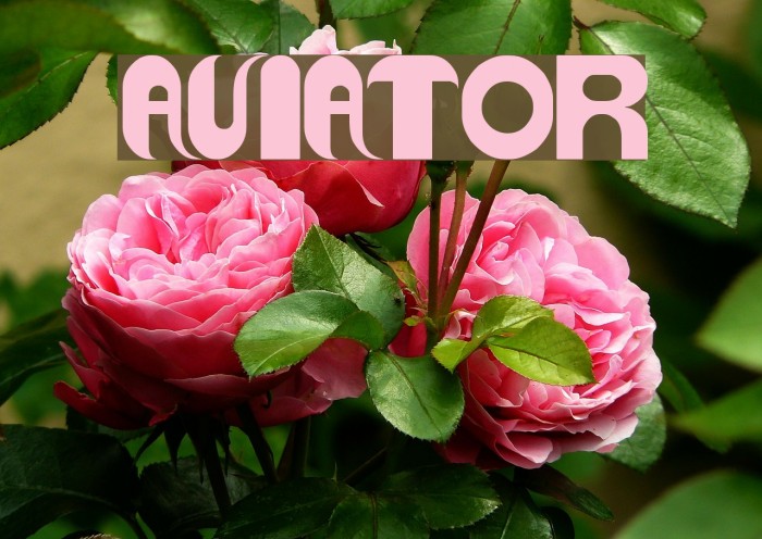 AVIATOR Font examples