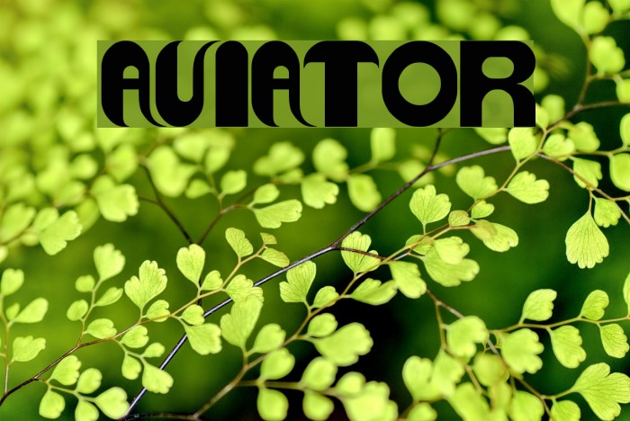 AVIATOR Font examples