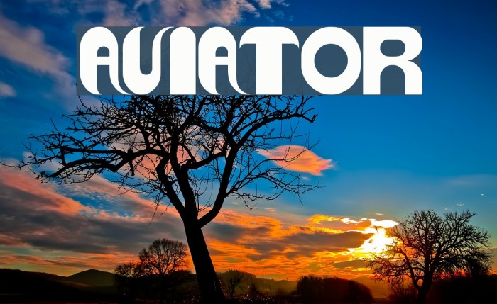 AVIATOR Font examples