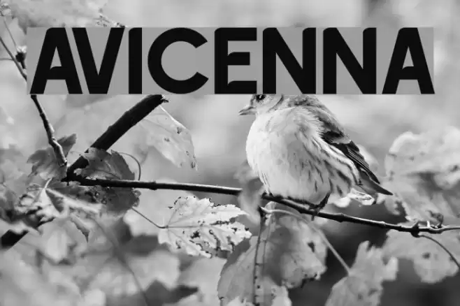 AVICENNA Font examples