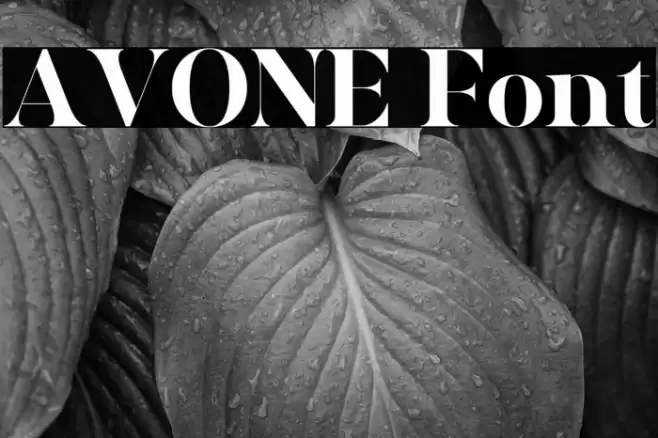AVONE Font examples