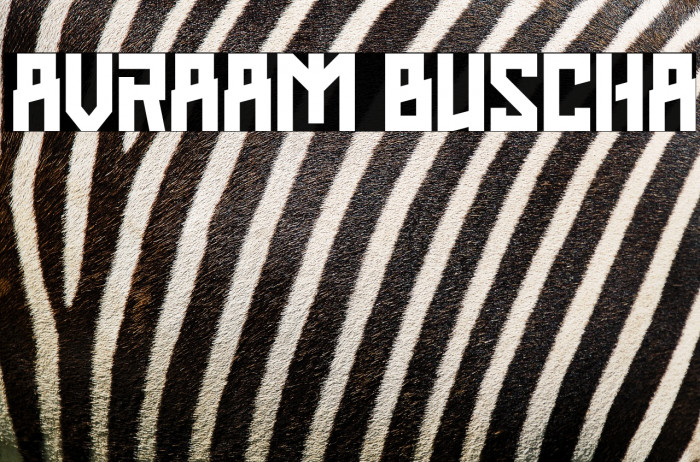 AVRAAM BUSCHA Example 1