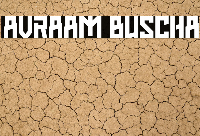 AVRAAM BUSCHA Example 2