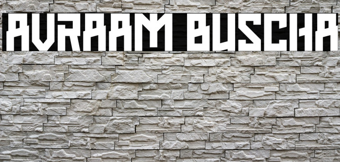 AVRAAM BUSCHA Example 3