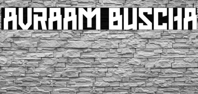 AVRAAM BUSCHA Example 3