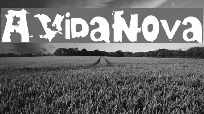 AVidaNova Schriftart examples
