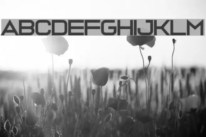 Ava Meridian Font examples