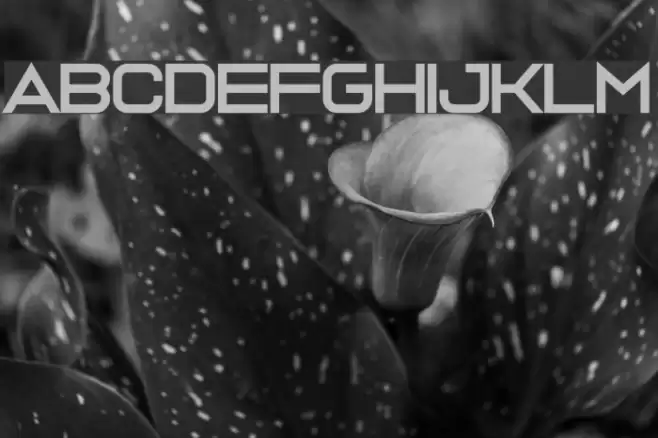 Ava Meridian Font examples