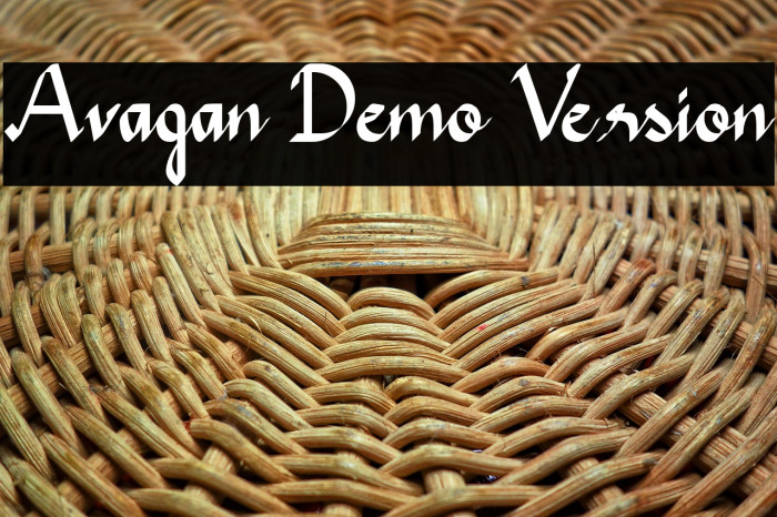 Avagan Demo Version Example 1