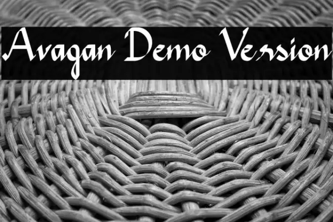 Avagan Demo Version Example 1