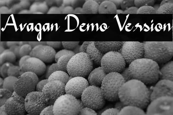Avagan Demo Version Example 2