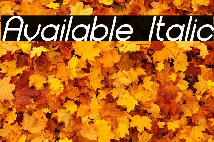 Available Italic Font examples