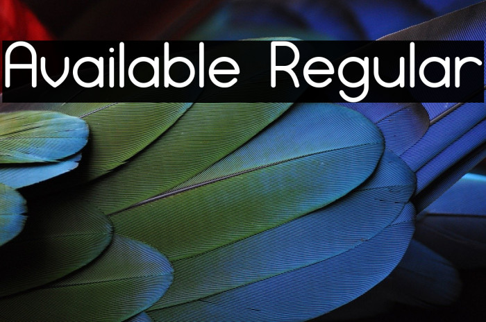 Available Regular Polices examples