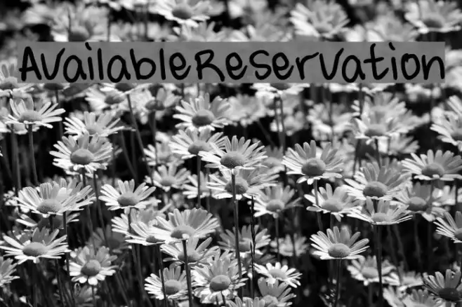 AvailableReservation Example 1