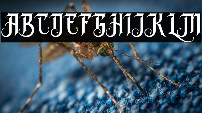 Avalen Rekas Regular Example 3