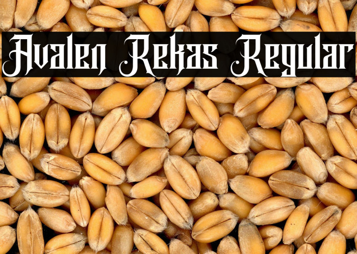 Avalen Rekas Regular Example 1