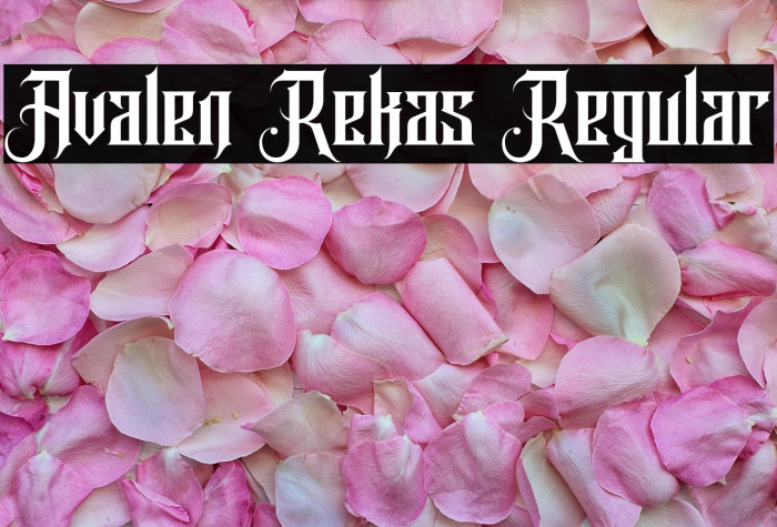 Avalen Rekas Regular Example 2