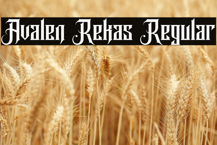 Avalen Rekas Regular Example 3