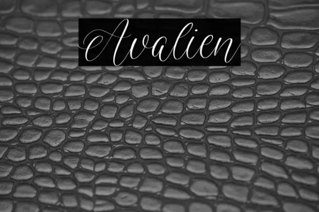 Avalien Example 2