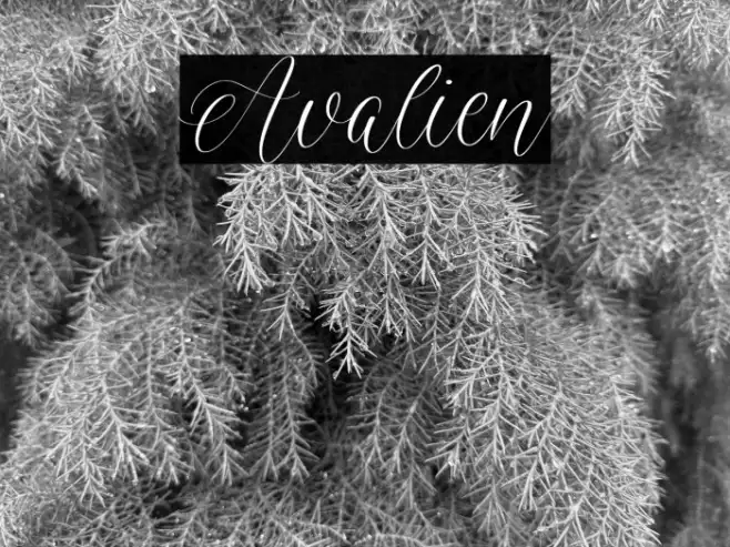 Avalien Example 3