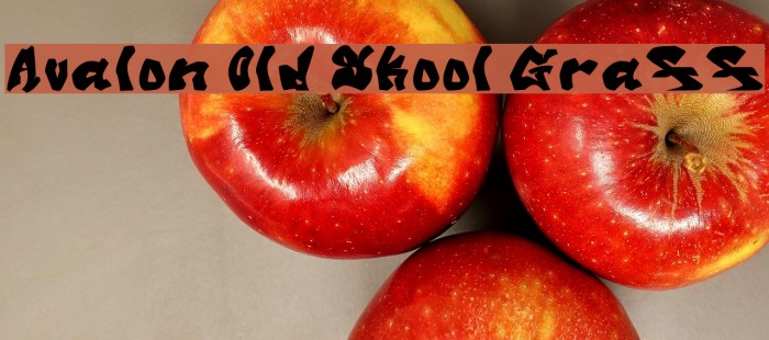 Avalon Old Skool Graff Font examples