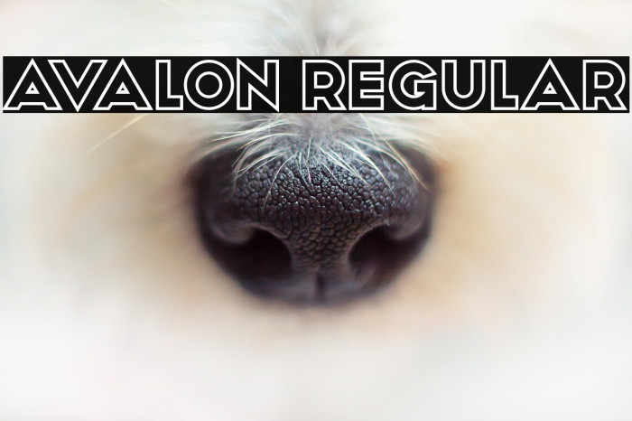 Avalon Regular Example 2