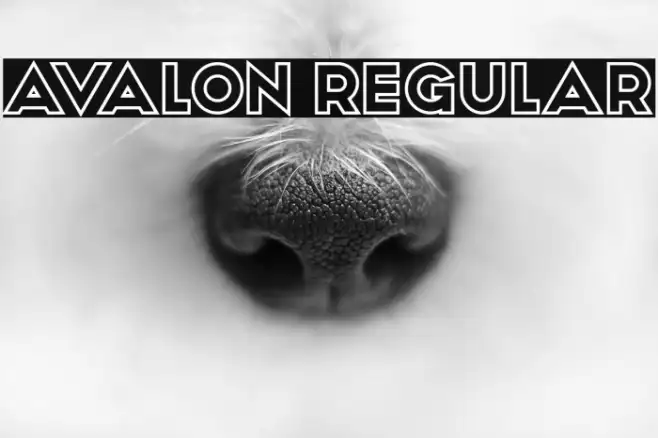 Avalon Regular Example 2