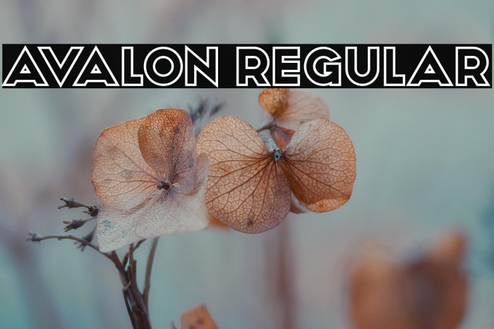 Avalon Regular Example 3