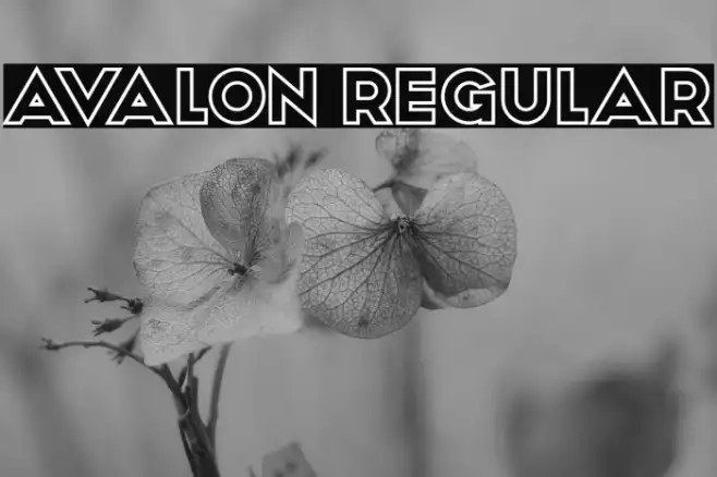 Avalon Regular Example 3